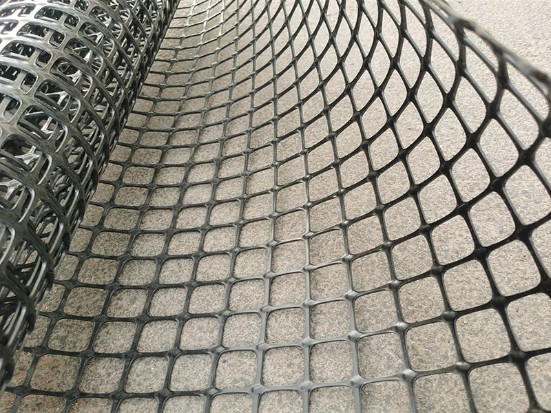 Geogrid