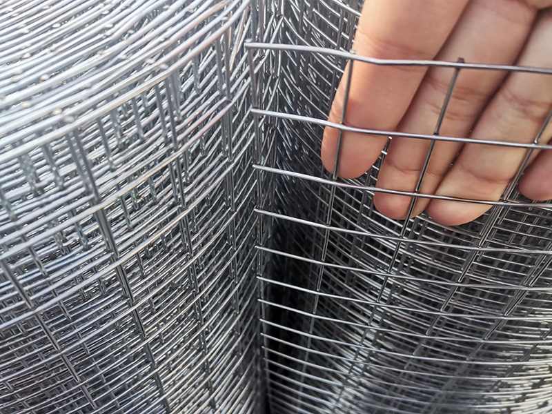 Welded Wire Mesh