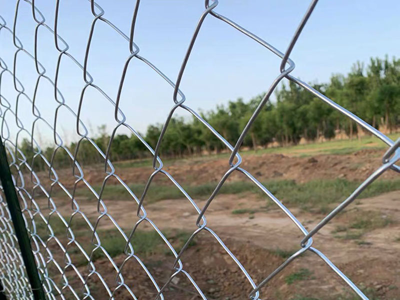 Chain Link Fence 